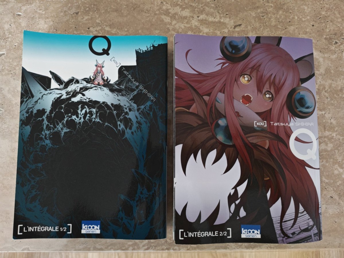 Q - Tome 1 et 2 INTEGRALE par Tatsuya SHIHIRA