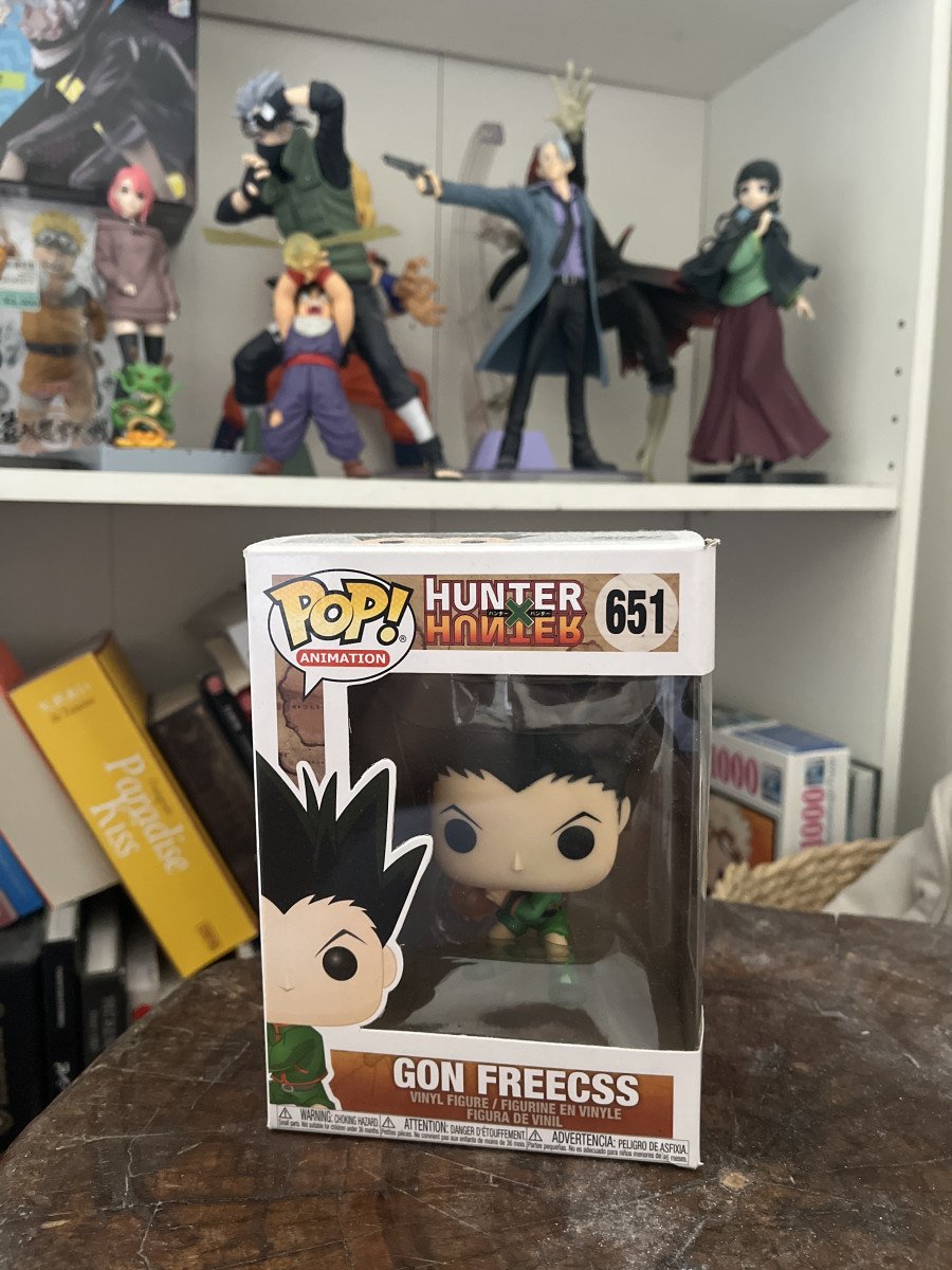 Funko Pop Gon Freecss 651 – Hunter x Hunter – Avec boîte