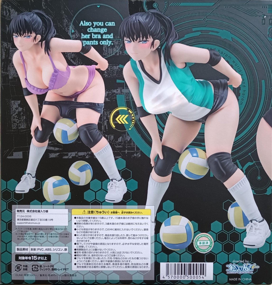Figurine akira todo (world's end harem
