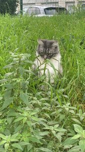 Photo de profil de : Emirpxsffs