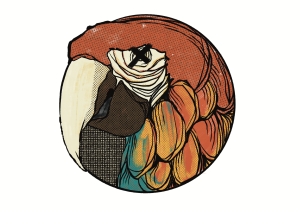 Photo de profil de : Sedo