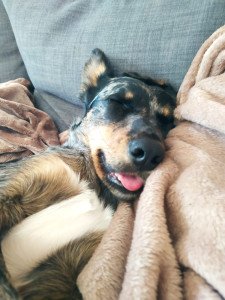 Photo de profil de : N'joy