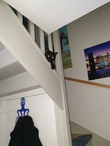 Photo de profil de : Seb63