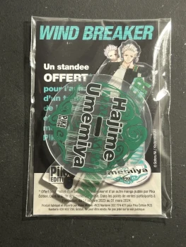 Stand acrylique : Wind Breaker ( Hajime Umemiya)