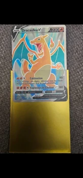 Cartes Dracaufeu V