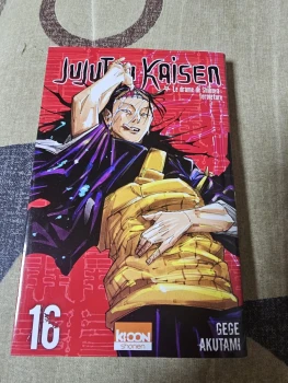 Jujutsu kaisen