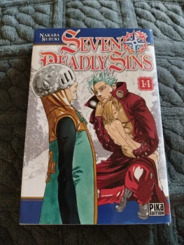 Seven deadly sins tome 14