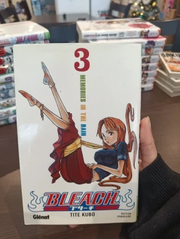 Bleach tome 3
