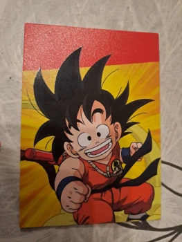 D30 dragonball universal collection panini
