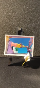 Stickers panini Dragon Ball, numéro : 57