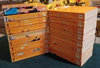 Dragon Ball double tome orange : 17 tomes (sur 21)