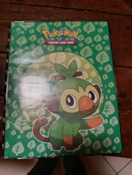 Classeur pokémon
