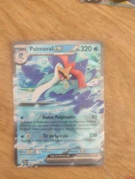 Carte pokémon