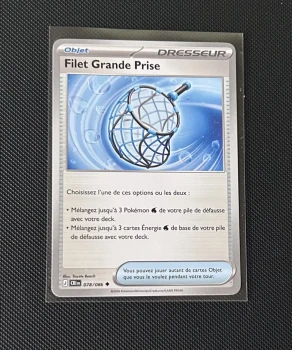 Carte Pokémon - Filet Grande Prise 78/86 - Chaos Ascendant