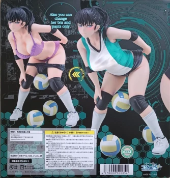 Figurine akira todo (world's end harem