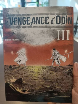 La vengeance d'Odin tome 3