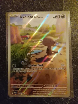 Carte Pokémon français