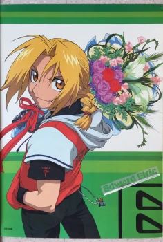 Poster Manga Shonen FMA Full Metal Alchimist