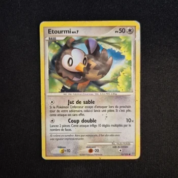Carte Pokemon : Etourmi - Tempête