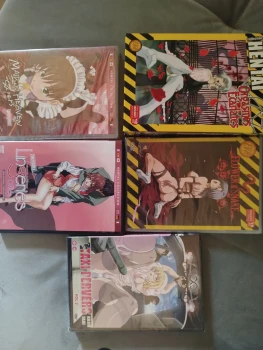 Lot DVD hentai
