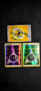 POK - Énergie Psy et feuille reverse