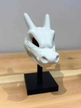 Crane Dracaufeu / Charizard Skull