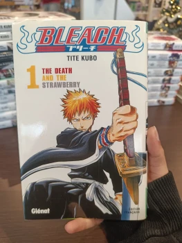 Bleach tome 1