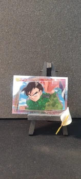 Stickers panini Dragon Ball, numéro 118