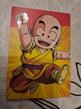 D28 dragonball universal collection panini