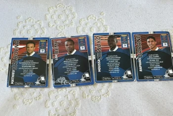 Lot de 4 cartes Collectors Carrefour de l’équipe de France 2014