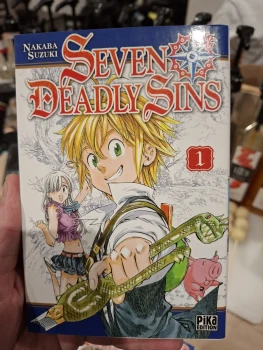 Seven dedly sins tome 1