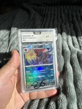 Duo de Zoroark Pokeball PCA 9.5