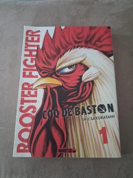 Rooster Fighter