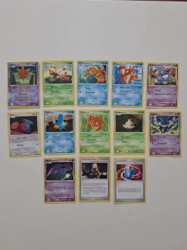 Lot de 13 cartes Pokémon Platine Vainqueurs Suprêmes 2010