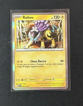 Carte Pokémon - Raikou 48/132 - Holo - Méga Évolution
