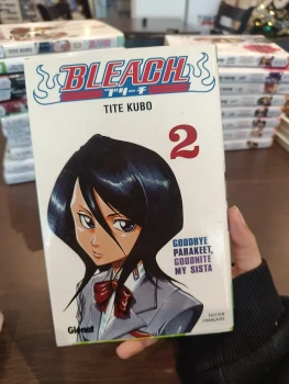 Bleach tome 2
