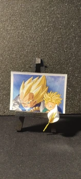 Stickers panini Dragon Ball, numéro : 178