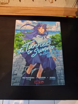 The tunnel to summer integrale