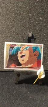 Stickers panini Dragon Ball, numéro : 135
