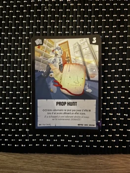 Prop hunt
