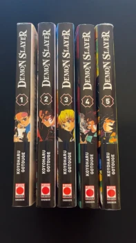 Lot Demon slayer Kimetsu no yaiba