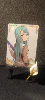 Carte Waifu, NS-12 R-01