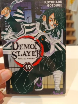 Demon Slayer tome 19