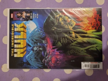 Incredible Hulk 22