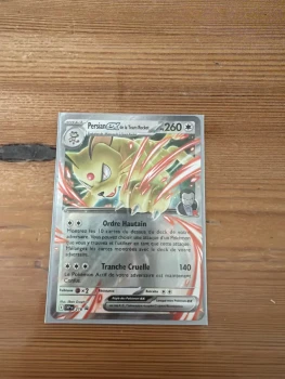 Persian ex de la Team rocket 218