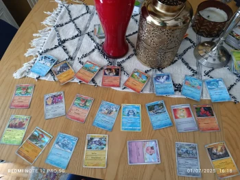 69 Carte Holo évolution brillante et illustration stilé