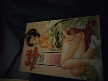 Vd manga de gold finger