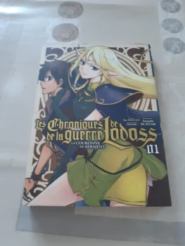 Les chroniques de la guerre de lodoss - tome 1
