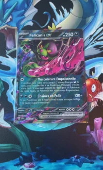 Carte Pokémon Felicanis 🌑