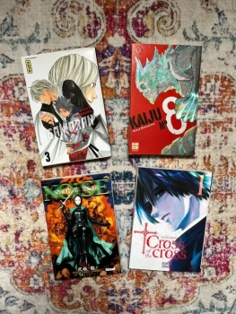 Lot divers Mangas